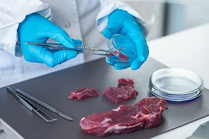 О контроле за качеством и безопасностью мясной продукции в Краснодарском крае