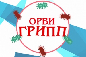 Об эпидситуации по заболеваемости гриппом, ОРВИ и проведении прививочной кампании против гриппа в Краснодарском крае