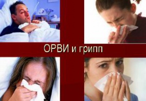 Об эпидситуации по заболеваемости гриппом и ОРВИ в Краснодарском крае .