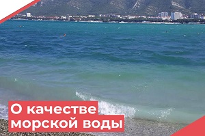 О качестве морской воды Азово-Черноморского побережья Краснодарского края