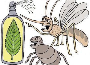 Устойчивость насекомых к инсектицидам – одна из глобальных проблем современности.