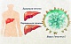 Методические рекомендации для медицинских работников по профилактике вирусного гепатита С