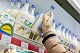 О контроле за качеством и безопасностью молочной продукции