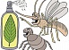 Устойчивость насекомых к инсектицидам – одна из глобальных проблем современности.