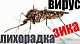 О мероприятиях по профилактике лихорадки Зика в Краснодарском крае
