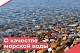  О качестве морской воды Азово-Черноморского побережья Краснодарского края                                                                                                                                                                                     